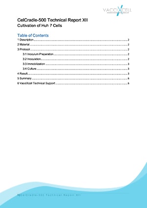 Cultivation of Huh 7 Cells